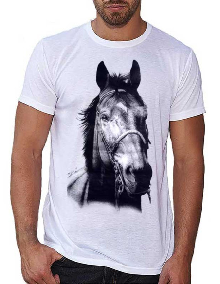 T-shirt homme motif cheval race Selle Français
