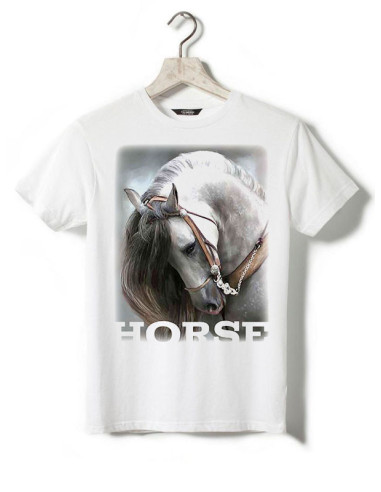 Cheval espagnol. Dressage