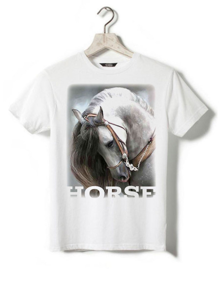 Cheval espagnol. Dressage
