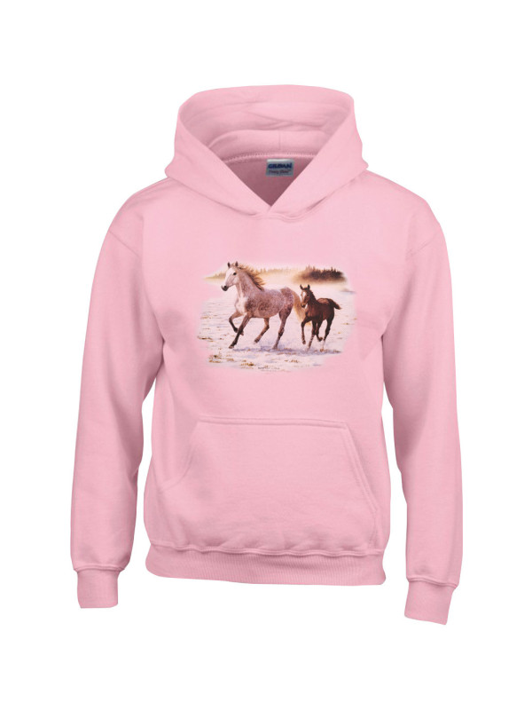 Jument et son poulain au galop