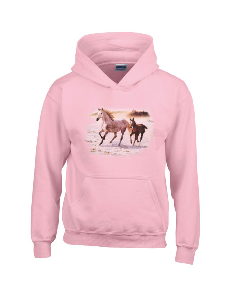 Jument et son poulain au galop